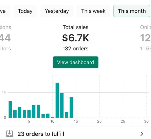 Shopify Dashboard - $6.7K Monthly Sales
